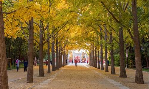 地坛公园在几环,地坛公园北京