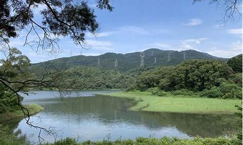 厦门天竺山旅游景区_厦门天竺山森林公园风