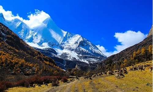 稻城亚丁旅游攻略自助游多少钱,稻城亚丁旅游攻略自助游多少钱