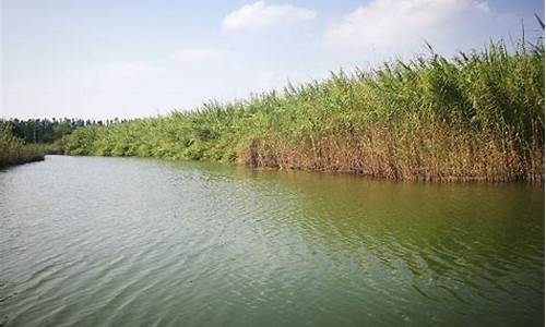 洪泽湖湿地公园鱼族馆_洪泽湖湿地公园