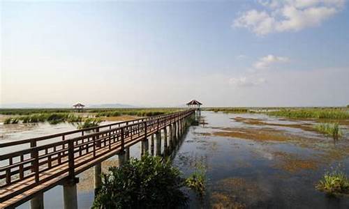 崇明岛游玩攻略二日,崇明岛旅游攻略一日游多少钱