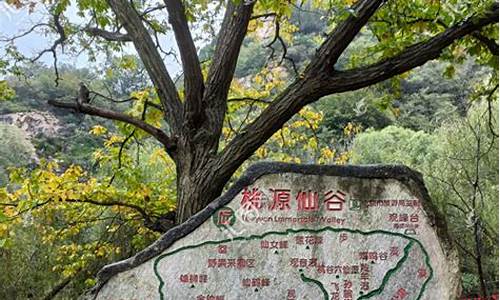 桃源仙谷自然风景区门票价格,桃源仙谷旅游路线