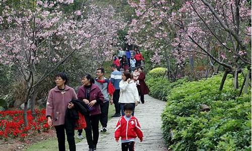 厦门三月去哪里旅游最好_三月厦门旅游攻略