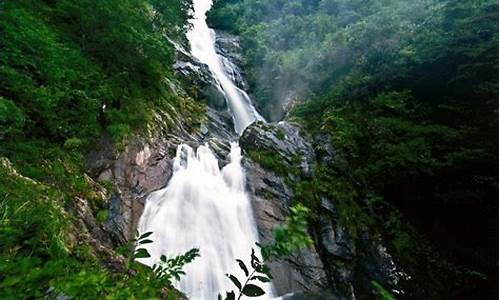 浙江西天目山_浙江天目山旅游攻略自驾游