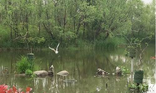 新江湾城湿地公园门票多少钱_新江湾城湿地公园门票