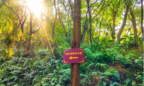 滴水岩森林公园旅游攻略,滴水岩风景区