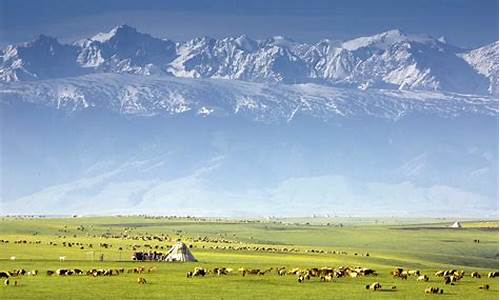 新疆草原旅游景点大全图片,新疆草原旅游景点