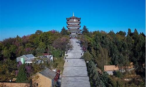 台山公园二胡,台山公园二胡表演