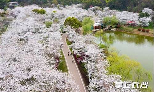 长沙玉湖公园,长沙玉湖公园在哪里