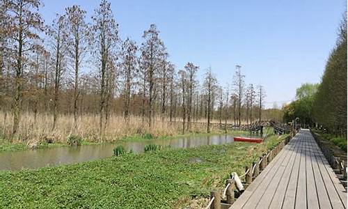 万顷郊野公园,万顷园风景区