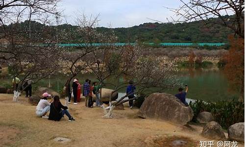 香雪公园在哪,香雪公园有什么好玩