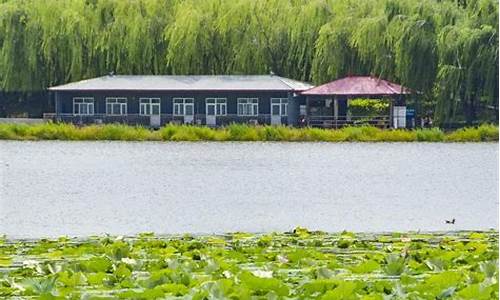 顺义新城滨河森林公园东郊湿地公园,顺义滨河森林公园营业时间