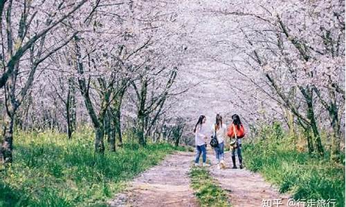 春天旅游拍照动作有哪些?,春季旅游景点拍照