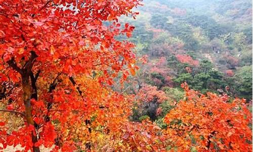 北京香山公园好玩吗?,北京香山公园在哪个区