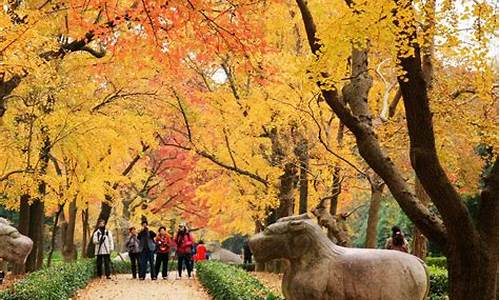 南京秋季旅游攻略_南京秋季旅游攻略一日游