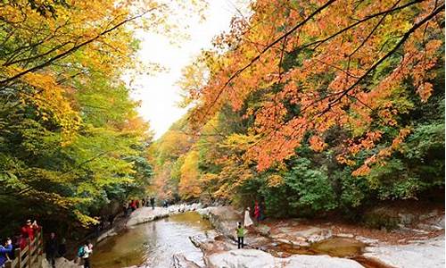 光雾山旅游攻略班车最新路线_光雾山旅游攻略班车最新