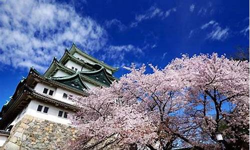 日本旅游景点介绍,日本旅游景点介绍的纪录片