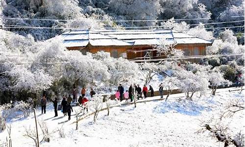 冬季重庆旅游攻略自由行-冬季重庆旅游攻略