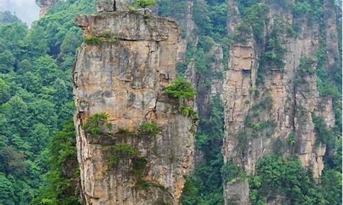 张家界旅游攻略带孩子自由行的地方-张家界旅游攻略带孩子自由行