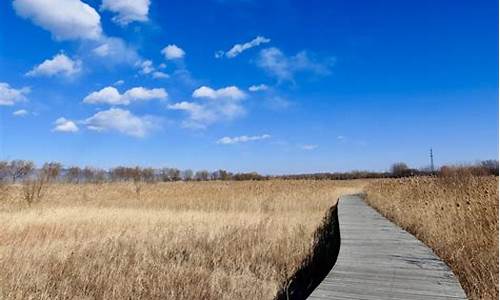 延庆野鸭湖湿地公园-延庆野鸭湖湿地公园简介