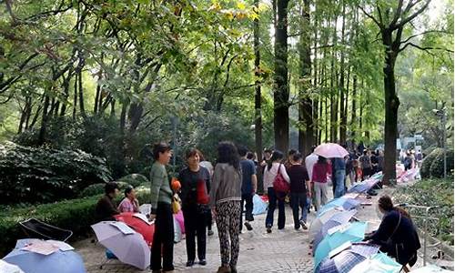 上海人民公园相亲活动,上海人民公园相亲活